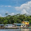 Amazon025 DSC04434 : Amazonas, Brazil, Manaus