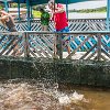 We really had to hold on to the rail sometimes when the pirarucu grabbed the baits. Tivemos mesmo que segurar forte no beiral quando o pirarucu pegava a isca. : Amazonas, Brazil, Manaus