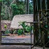 We were allowed to walk around in the village. Eles nos permitiram passear pela aldeia. : Amazonas, Brazil, Manaus