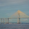 The Rio Negro bridge is a cable-stayed bridge linking Manaus to Iranduba. A ponte Rio Negro é do tipo com cabos e liga Manaus a Iranduba. : Amazonas, Brazil, Manaus